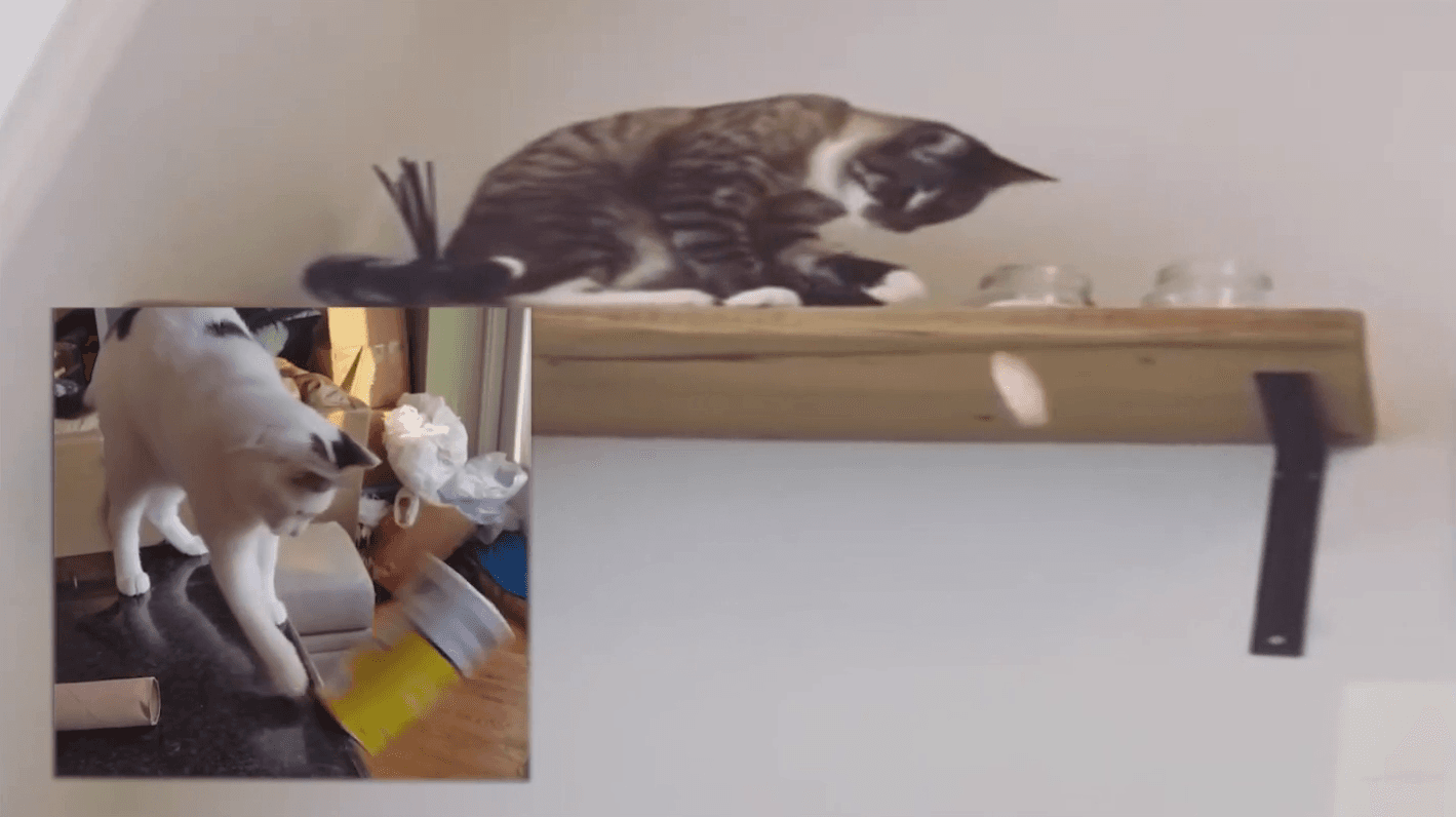 vk_clip